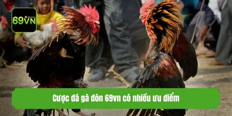 Cược đá gà đòn 69vn có nhiều ưu điểm
