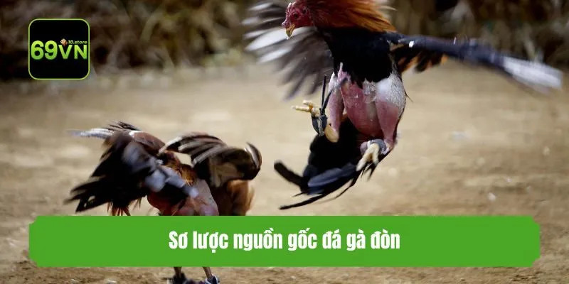 Sơ lược nguồn gốc đá gà đòn